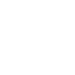 dialer vault fingerprint unlock feature