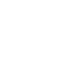 dialer vault secure files feature